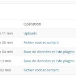 Sauvegarde Wordpress Backwup