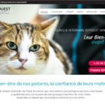 Agence Web Rezé 44400 site veterinaire