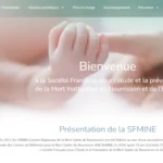 Création site WordPress SFMINE