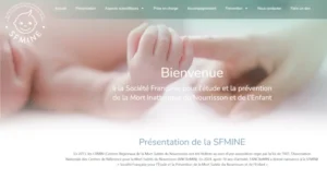 Création site WordPress SFMINE
