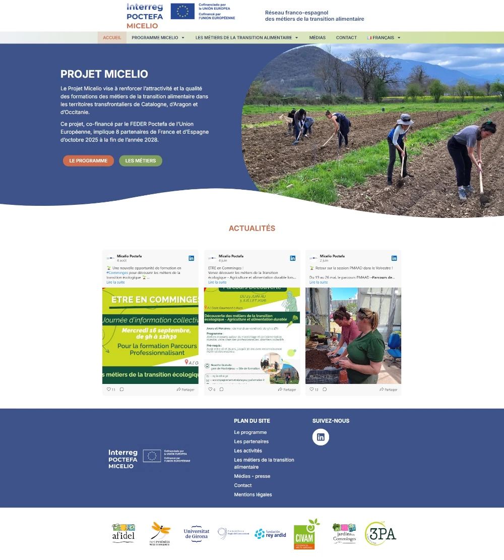 Création Site WordPress trilingue Micelio
